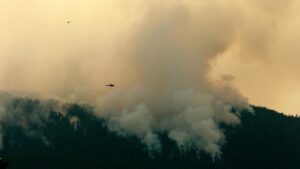 Essential Information You Must Know as Wildfires Rage Across Eastern Canada