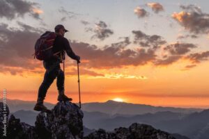 Terrifying Struggle: Hiker Battles Bear Before Being Dragged Into the Forest, Body Found