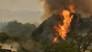 Raging Wildfires Engulf Spain and Portugal as Scorching Heatwave Intensifies