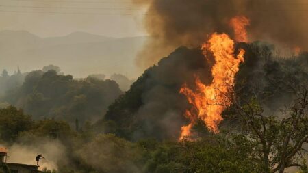 Raging Wildfires Engulf Spain and Portugal as Scorching Heatwave Intensifies