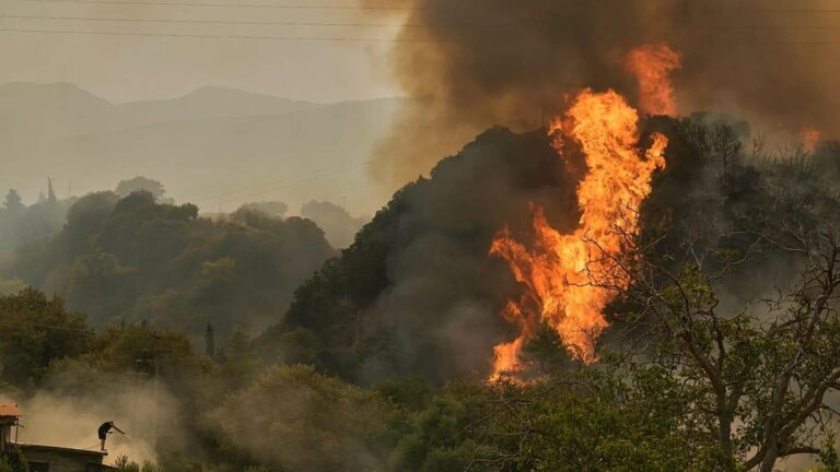 Raging Wildfires Engulf Spain and Portugal as Scorching Heatwave Intensifies