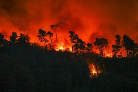 Nightmare’ Wildfire Devastates Vineyards Across Southern France