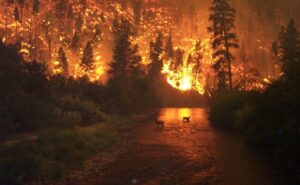 Blazing Wildfires Tear Through Western Spain as Army Joins the Fight