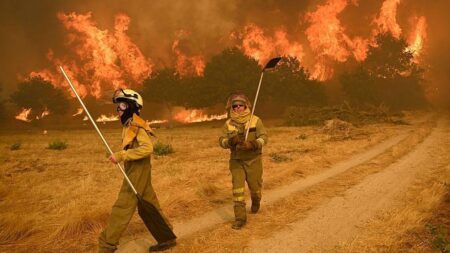 Devastating Wildfires Sweep Through Spain During Unprecedented 45°C Heatwave, Claiming Four Lives