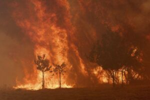 Deadly Wildfires Engulf Spain and Portugal as Spanish Troops Battle to Contain Flames
