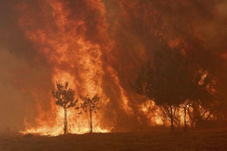 Deadly Wildfires Engulf Spain and Portugal as Spanish Troops Battle to Contain Flames
