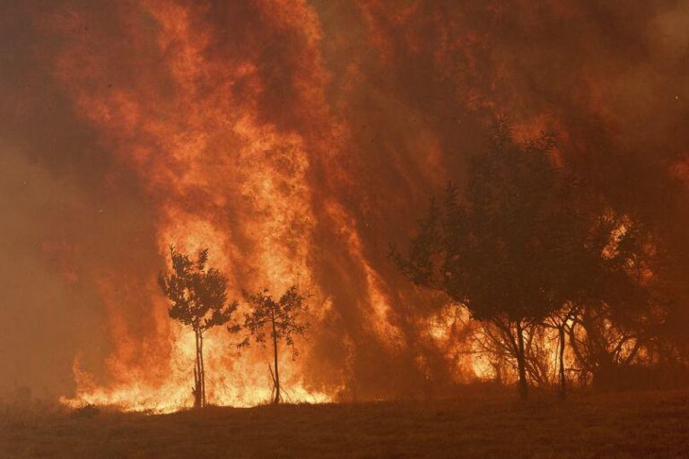 Deadly Wildfires Engulf Spain and Portugal as Spanish Troops Battle to Contain Flames