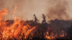 Record-Breaking Wildfires Ravage Spain and Portugal, Leaving Devastation in Their Wake