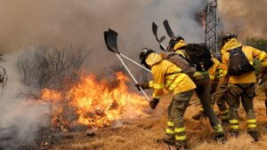 Massive Wildfires in Spain Start to Stabilize as Cooler Weather Offers New Hope