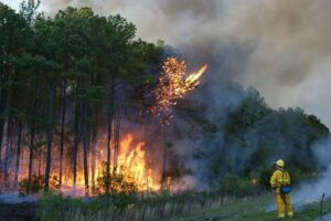Raging Northern Wildfires Cast a Shadow Over Minnesota’s Summer and Devastate Canadian Communities
