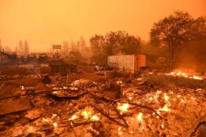 Spain Battles Devastating Wildfires, Losing Over 380,000 Hectares in Worst Blaze Since 1994