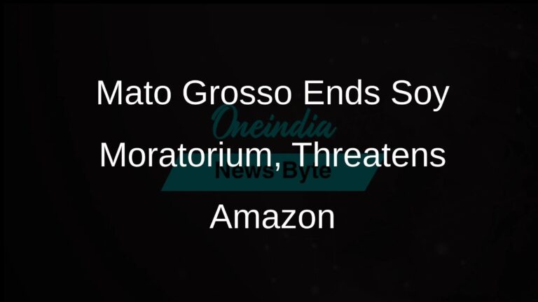 Brazil Suspends Amazon Soy Moratorium, Raising Alarms Over Escalating Deforestation