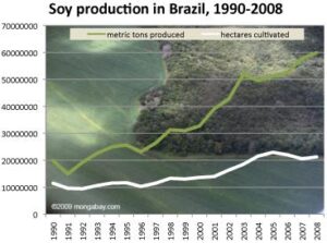 Study Uncovers Widespread Illegal Land Clearing by Farmers Bound by Brazil’s ‘Soy Moratorium