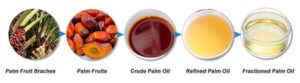 UK’s Crude Palm Oil Market Poised for Steady Growth with 1.7% CAGR Through 2035
