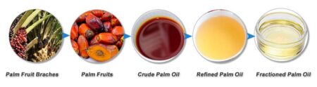 UK’s Crude Palm Oil Market Poised for Steady Growth with 1.7% CAGR Through 2035