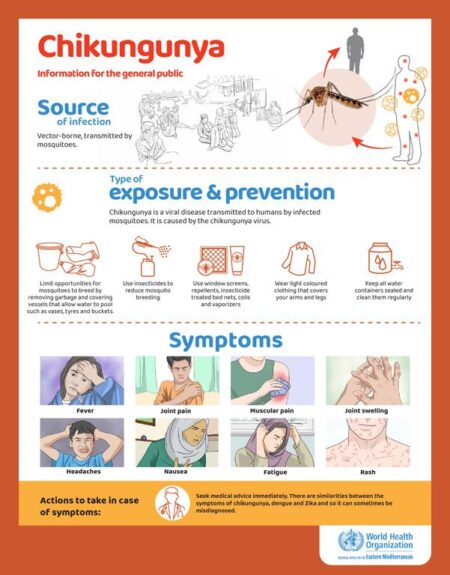 France Faces Unprecedented Chikungunya Outbreak as US Vaccine Efforts Stall