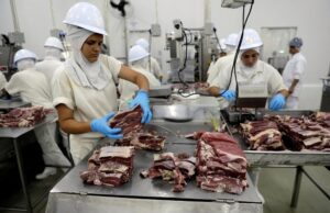 Mexico Set to Approve Additional Brazilian Meatpacking Plants for Export Shipments, Official Confirms