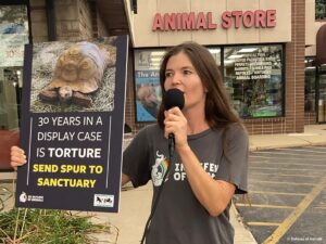 Dramatic Police Raid Uncovers Over 150 Exotic and Endangered Animals in Illegal Spanish Pet Store