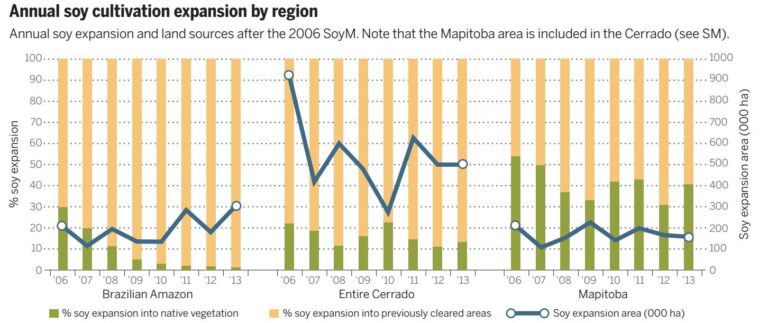 Inside Brazil’s Soy Moratorium Battle: What It Means and What Comes Next
