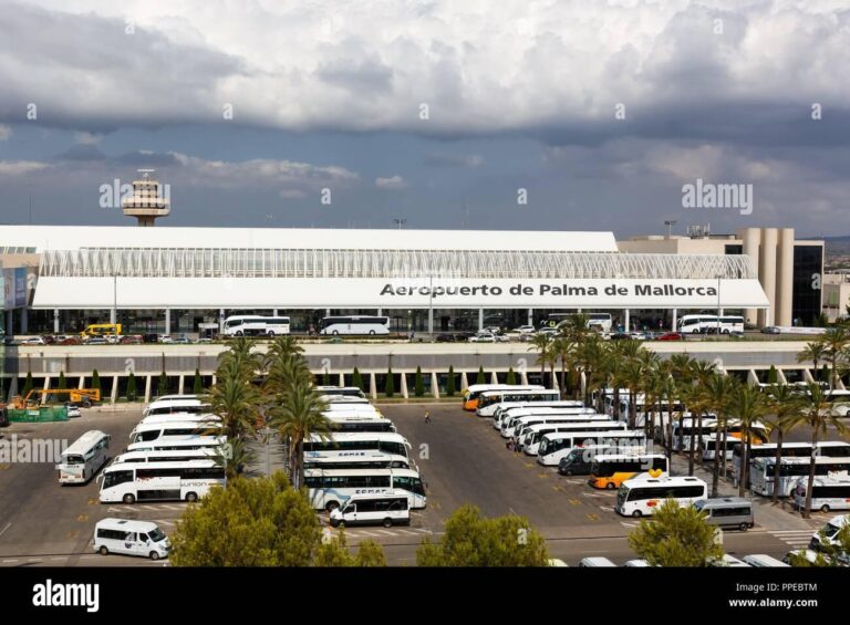 Spain PMI Soars in August Fueled by Strong Demand for Manufactured Goods