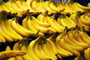 Brazil Creates Powerful Bananas That Stand Strong Against Devastating Fusarium Wilt R4T