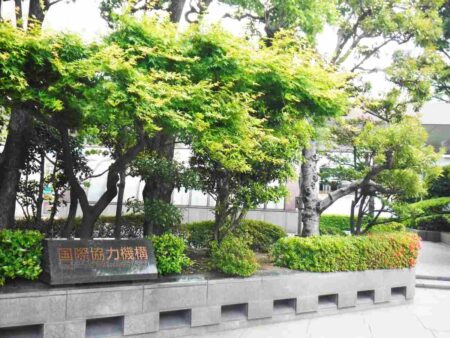 Tragic Toll: 126 Lives Lost Over Five Years in Japan’s Aid Projects Across Developing Nations