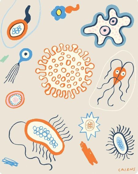 Are Your Gut Microbes Secretly Sabotaging Your Sleep?