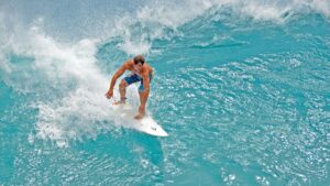 Surfer’s Life Tragically Lost in Devastating Shark Attack Off Sydney Beach