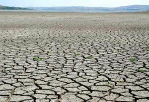 Atlantic Region Grapples with Severe Drought Impacting Communities and Crops