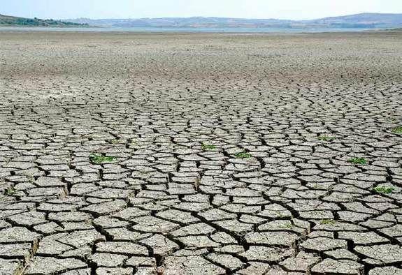 Atlantic Region Grapples with Severe Drought Impacting Communities and Crops