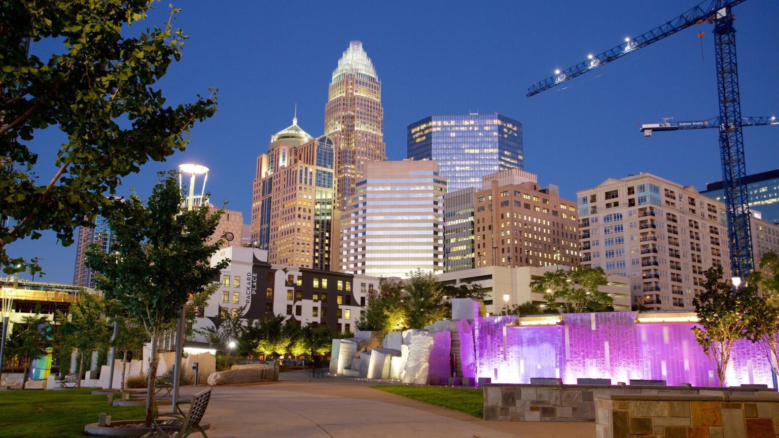 Study USA Charlotte Launches Fall Cohort with Exciting New Programs