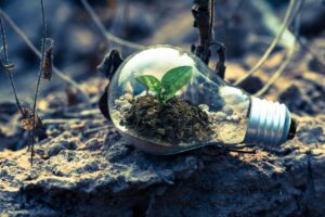 What’s Really Stopping Consumers from Embracing Sustainable Living?