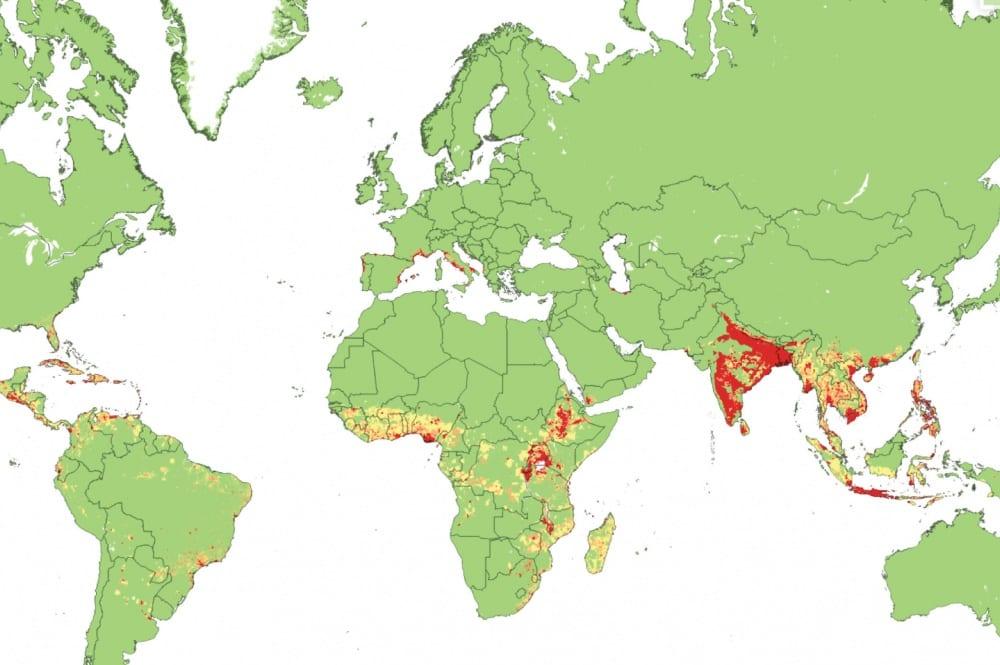 Rising Chikungunya Outbreaks Spark Concern for Travelers to France and Italy