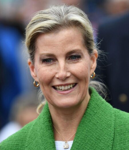 Duchess Sophie Dazzles with an Impossibly Low Curtsy to Meet the Emperor of Japan