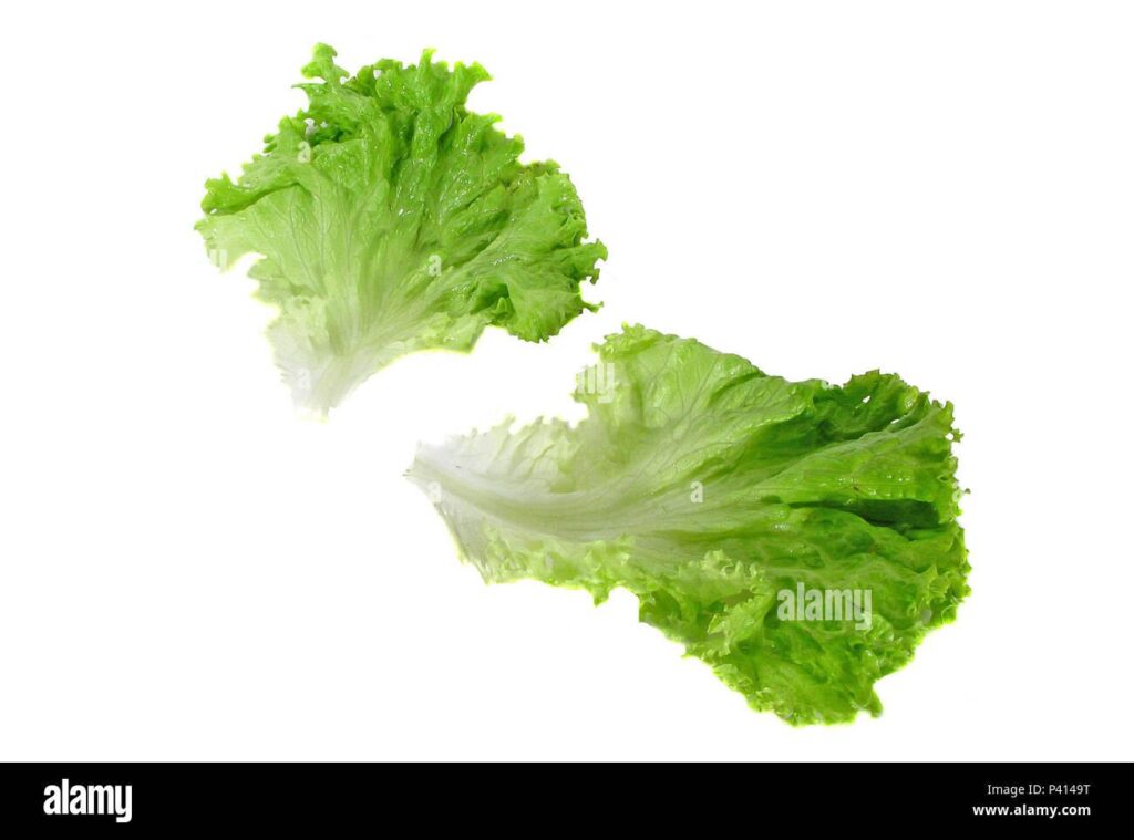 Tensions Escalate as Folha and OpenAI Face Off in Brazil