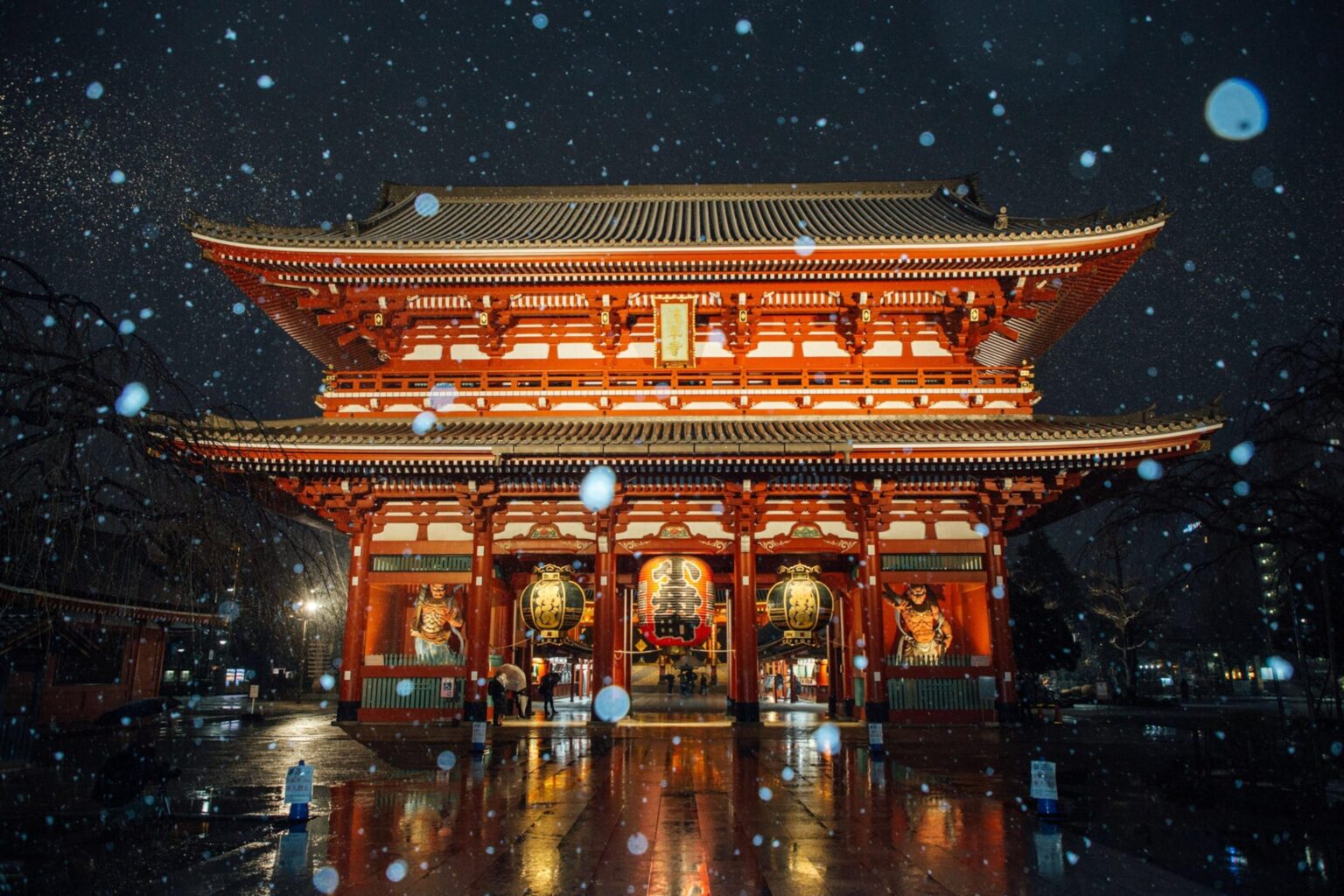Japan’s Most Sacred Shinto Shrine: A Stunning Tradition of Rebuilding Every 20 Years for Over a Millennium