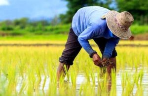 Why Farmers Are Outraged by Trump’s Controversial Argentina Bailout