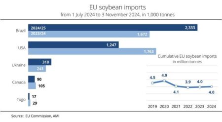 Farmers Unite in Support of Trump to Safeguard Soybean Trade with China