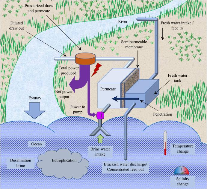 Japan Unveils Asia’s First Osmotic Power Plant Operating Around the Clock Using Fresh and Seawater