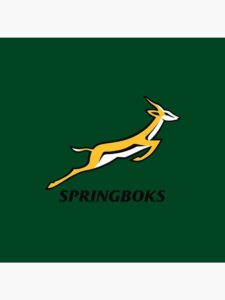 Springboks Edge Out Argentina 29-27 in Heart-Stopping Rugby Championship Triumph