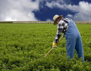 Farmers Battle Tariffs – But Trump’s Unexpected Strategy Could Rescue Argentina
