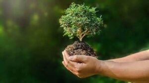 Exploring the United Kingdom’s Environment: Essential Insights and Emerging Trends