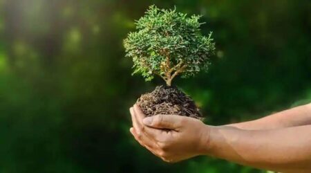 Exploring the United Kingdom’s Environment: Essential Insights and Emerging Trends