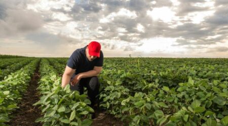 You’re Killing Us’: The Trade War’s Devastating Impact on Maryland Soybean Farmers and Their China Market