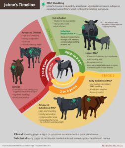 France Grapples with Alarming Surge in Cattle Disease Outbreaks: A Mounting Threat to Agriculture