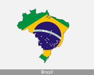Brazil’s New Digital Spending Trend Captivates Global Attention, Including Trump