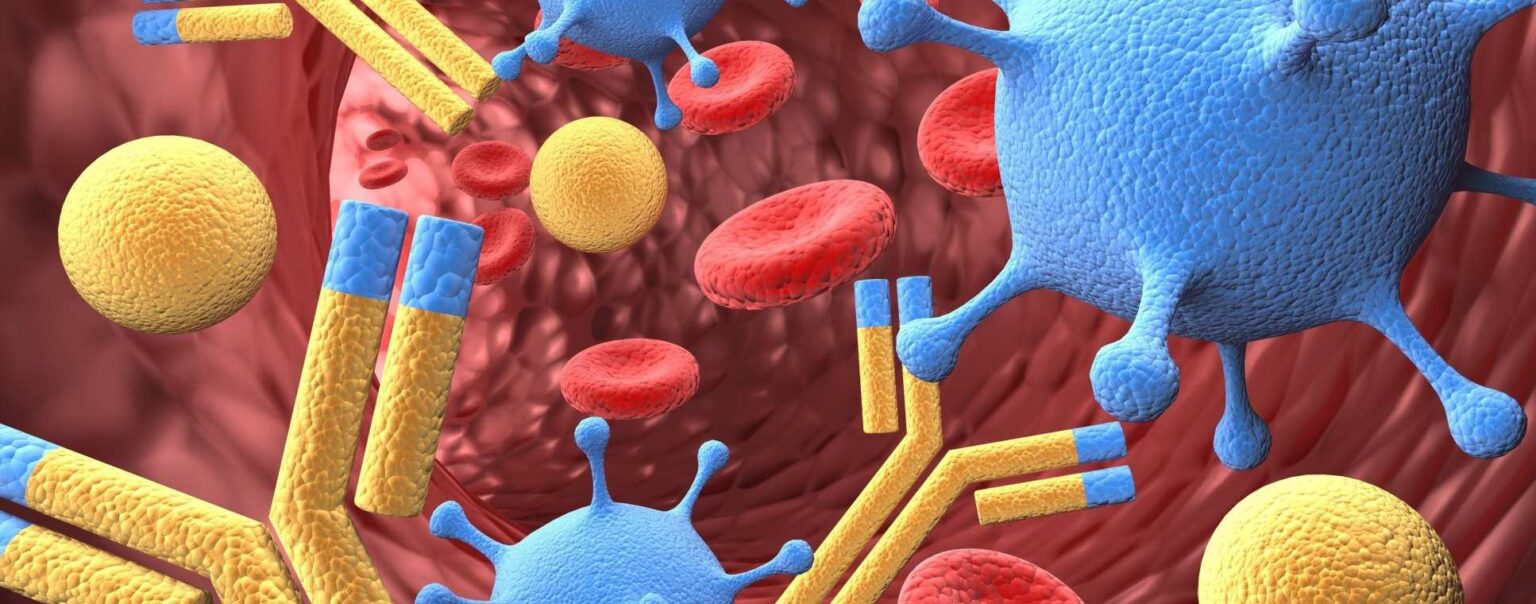 Shaping India’s Tomorrow: The Power of Embracing Immunology Today Shaping India’s Tomorrow: The Power of Embracing Immunology Today