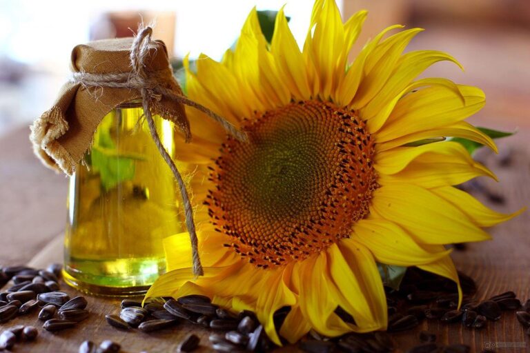 UK Sunflower and Safflower Oil Market Set for Explosive Growth to 334K Tons and $535M UK Sunflower and Safflower Oil Market Set for Explosive Growth to 334K Tons and $535M