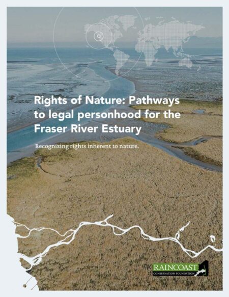 UK Campaigners Launch Revolutionary Bill to Secure Legal Rights for Nature