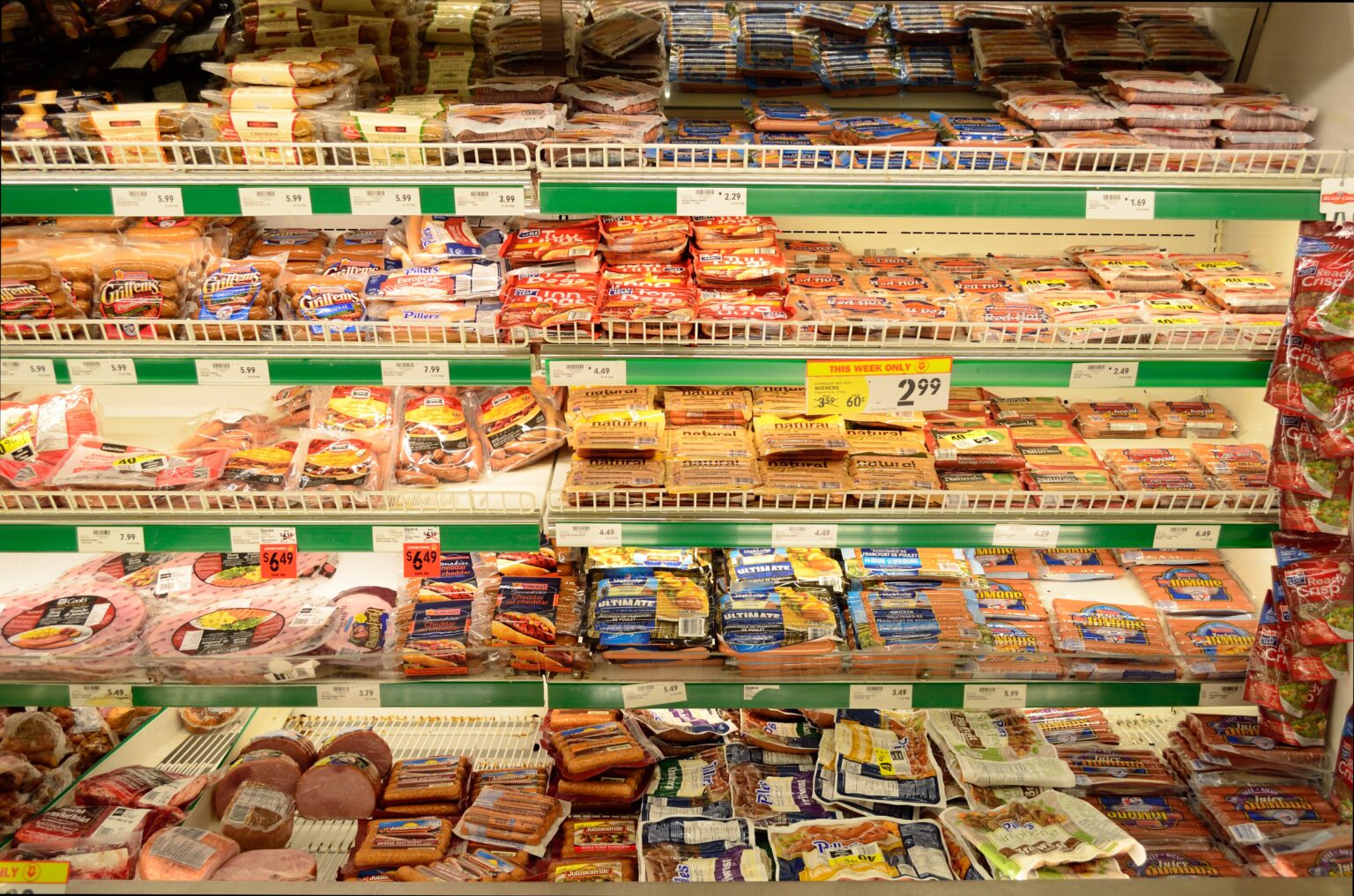 United Kingdom’s Processed Meat Market Poised for Steady Growth Through 2035 United Kingdom’s Processed Meat Market Poised for Steady Growth Through 2035